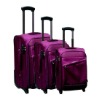 2011 NEW EVA Travel Trolley Bag