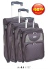 2011 NEW HOT SALE Soft Luggage