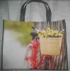 2011 NEW PP nonwoven bag