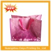 2011 NEW promotional shopping bag