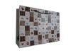 2011 NEWEST STYLE SHOPPING SERIES PAPER GIFT BAG