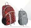 2011 New Backpack Bag