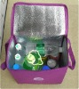 2011 New Design Cooler Bag