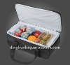 2011 New Design Cooler/Insulated Bag