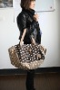 2011 New Designed Fashionable Canvas Bag