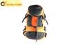 2011 New Designed coloful lbackpack