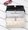 2011 New Lady's Fashion Evening Bag/clutch bag/party bag