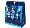 2011 New PP cooler bag