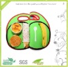 2011 New Picnic Tote