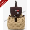 2011 New Style Designer Fashion Canvas Backpack