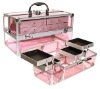 2011 New Style Pink Acrylic Beauty Box