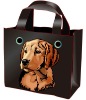 2011 New design fashion waterproof nylon bag