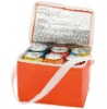 2011 New designed Aluminum foil cooler bag