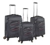 2011 New eminent luggage