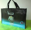 2011 New high quality fashion laminated bag