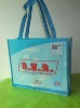 2011 New high quality laminated carry bag