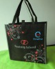 2011 New high quality laminated handle bag