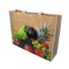 2011 New high quality pp woven shopping bag