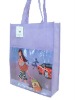 2011 New non woven bag-promotional bag(DFY-D008)