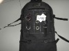 2011 Newest cheap canvas sport backpack
