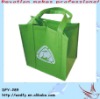 2011 Non Woven Bag(DFY-289)