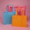 2011 Non Woven Eco Friendly Bag