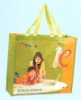 2011 PP fashion bag(DFY-B044)