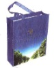 2011 PP woven gift bag