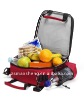 2011 Picnic Cooler bag for Promotion
