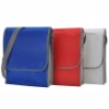 2011 Promotional Fashion Shine Slim line Record Bag With Strap