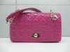 2011 Stylish Lady's shoulder bag