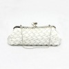 2011 Women's Evening Clutch Bags