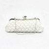 2011 Women's Evening Clutch Bags