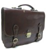 2011 beautiful brief case