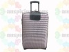 2011 beautiful fashional pupolar built-in carry-on trolley luggage case