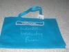 2011 beautiful non woven shopping bag(DFY-063)