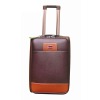 2011 beautiful pu luggage bag