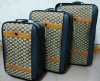 2011 best-selling brand trolley treval luggage set