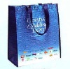 2011 cartoon&cute pp woven bag(DFY-W061)