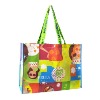 2011 cartoon pp woven bag(DFY-W070)