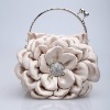 2011 charmming collection  evening bag