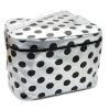 2011 cheap fashion lady cosmetic bag