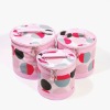 2011 cheap fashion lady cosmetic bag