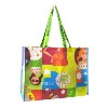2011 colorful & fashion Non Woven Shopping Bag (DFY-S080)