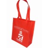 2011 cute and fashion non woven bag for shopping