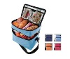 2011 cute insulated lunch cooler bag