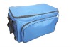 2011 delicate beautiful handy ice cooler bag