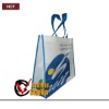 2011 design reusable eco-friendly pp woven shopping bag(MC-B009)