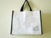 2011 eco non woven bags(ML--318)