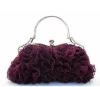 2011 elegant ladies' clutch